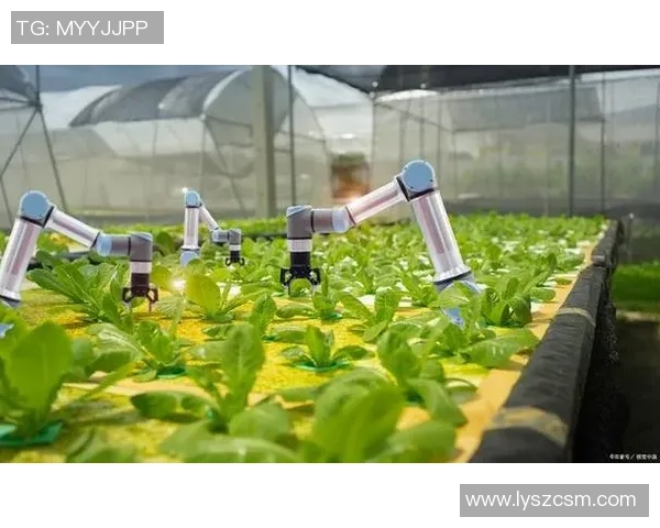 于德豪:探索科技创新与可持续发展的未来之路 于德豪:探索科技创新与可持续发展的未来之路