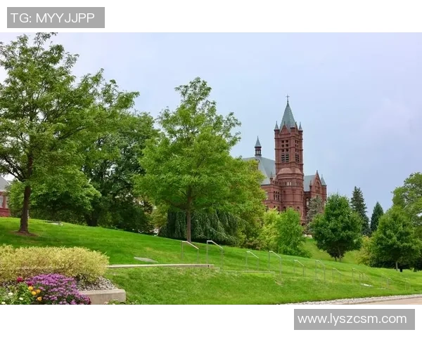多伦多与纽约的城市魅力对比探讨与生活体验分享 多伦多与纽约的城市魅力对比探讨与生活体验分享